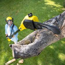 Best Lawn Mowing  in Richmond, UT